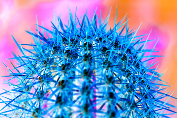 Abstract negative impression of a globose cactus (Echinopsis) with vibrant colors in blue, pink and...