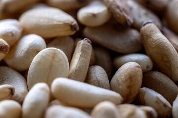 Various colored sesame seeds in a heap (Real photograph - no A.I.)