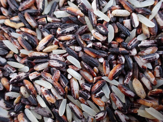 Top view of raw wholewheat rice. A close-up pile of organic Rice. Closeup organic mixed rice grain and rice texture for background.