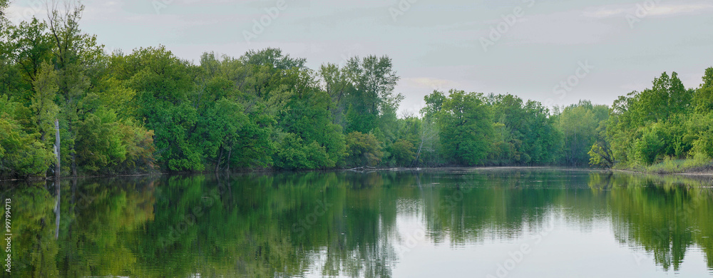 Wall mural quiet pond or lake in cloudy summer weather