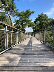 Obraz premium Weg auf dem Baumwipfelpfad Heidehimmel in der Lüneburger Heide im Sommer