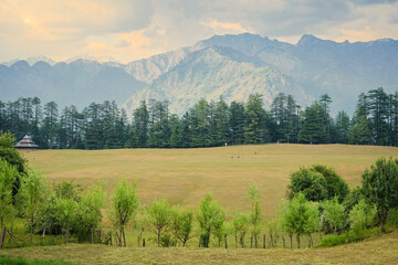 Green meadows in himalayas, Great Himalayan National Park, Sainj Valley, Himachal Pradesh, India.