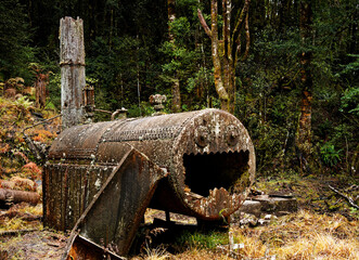 Gold mining relics, a steam boiler, in Victoria Forest Park, Reefton, New Zealand