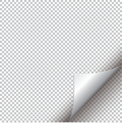 Vector corner element