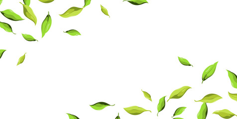 A banner with fresh green leaves. A horizontal template. Vector illustration.
