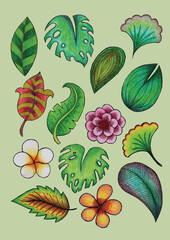 Adobe Illustrator Artwork Hand Drawn Leaves and Flowers Set Vector Illustration Design