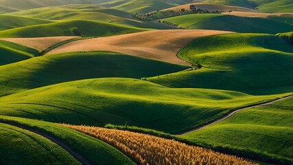 Obraz premium A stunning aerial view of rolling hills covered in vibrant green fields and golden wheat, with winding roads cutting through the landscape under a bright blue sky, offering a peaceful and natural mobi