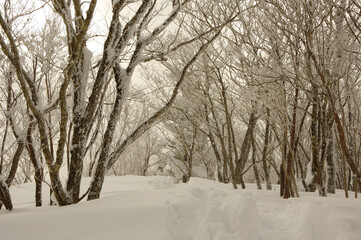 夕焼けに染まる白銀の世界