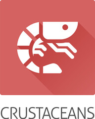 A prawn shrimp crustacean food stylised icon. Possibly an icon for the allergen or allergy or a seafood concept.