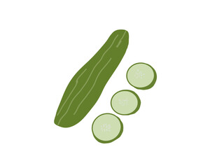 Fresh cucumber vector
