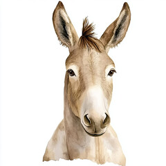 Beautiful Donkey Watercolor Clipart, Farm Animal Colored Design for Your Corporate and Business Graphic Resource or Creative Project, Ai Generative