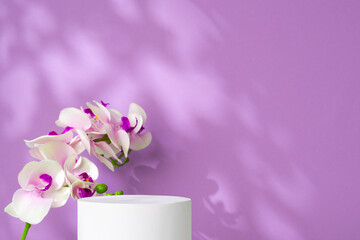 Purple backdrop with delicate orchids and a white cylindrical display in soft natural light