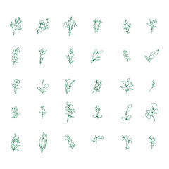 Set Of Flowers Doodle