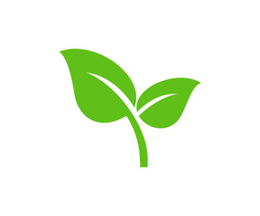 Green leaf ecology nature element icon. Botany, germ bud, herbal, ecology, bio, organic, vegetarian, eco, fresh illustration on transparent background PNG.

