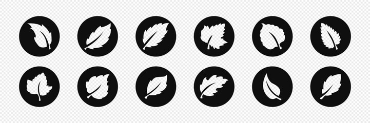 Autumn, cozy set  of leaves. Vector illustration.