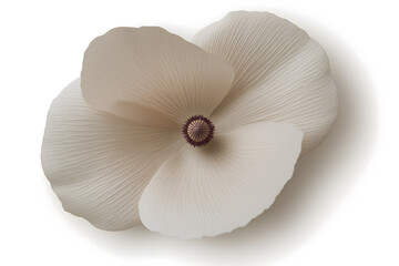 Delicate Flower Blooming on a Creamy Background: A Minimalist Exploration of Nature's Beauty