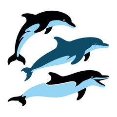 Fototapeta premium two dolphins jumping