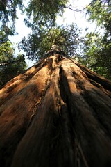 Yosemite Nationalpark