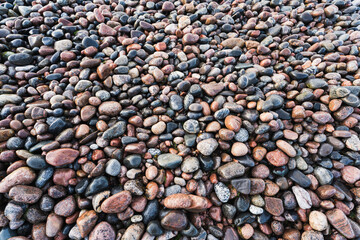 Photo background text beautiful clean pebble beach on the shore of the Baltic Sea.
