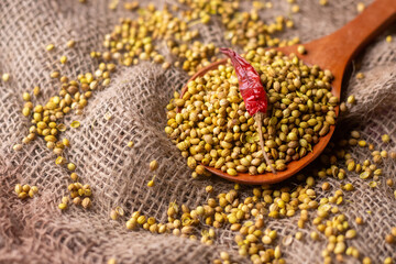 Top down image closeup of dry red chilli with coriander seeds on a wooden spoon