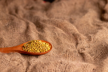 side angle of  coriander seeds on a big wooden spoon on a sack or rug