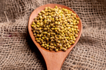 Extreme close up of coriander seeds on a big wooden spoon on a sack