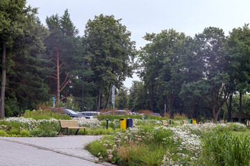parking lot in the park with a bench to sit on