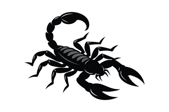 black scorpion on white background clip art preview
