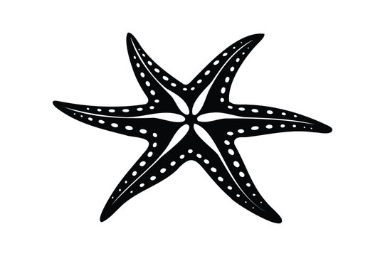recommend clip art: starfish silhouette vector illustration