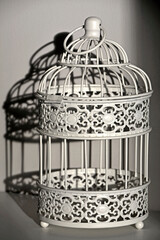 dekoracyjna klatka, ozdobna klatka w promieniach słońca, decorative cage	
