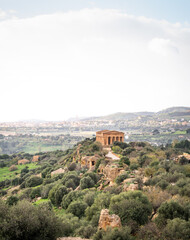 Fototapeta premium Ancient Ruins and Olive Groves of the Valley of the Temples