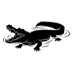 crocodile isolated on white background
