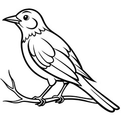 bird on branch silhouette-