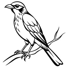 bird on branch silhouette-