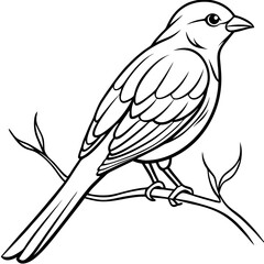 bird on branch silhouette-