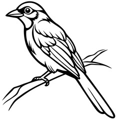 bird on branch silhouette-