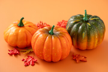 Harvest and autumn Halloween, thanksgiving design concept with pumpkin and maple leaf.