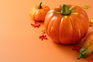Harvest and autumn Halloween, thanksgiving design concept with pumpkin and maple leaf.