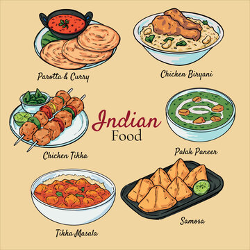 Collection of Hand Drawn Indian Cuisine Food Vector Illustration Palak Panel, Parotta, Samosa, Tikka Masala, Chicken Tikka and Chicken Biryani 