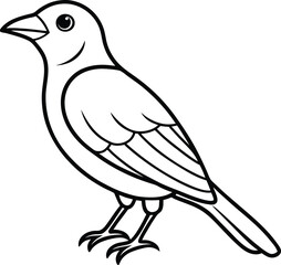 Obraz premium Bird Line art vector illustration