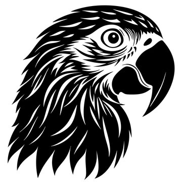 recommend clip art: parrot vector black silhouette tattoo design 