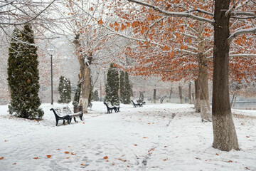 Obraz premium autumn park with first snow and fallen leaves. beautiful landscape of late autumn or early winter season. cold frozen weather