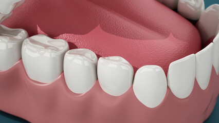 Detailed 3D illustration of a model jaw with complete set of teeth. 3D illustration