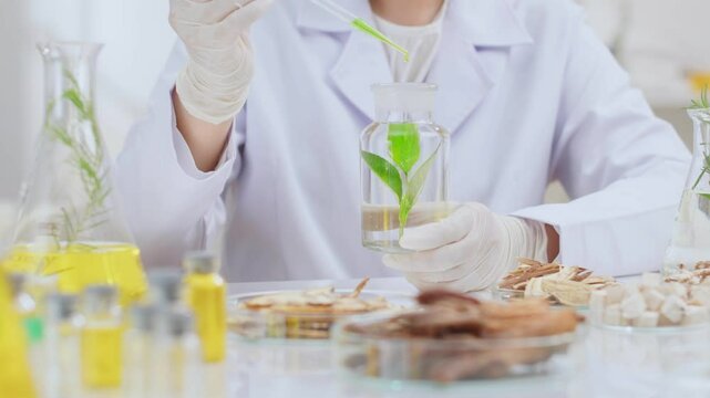 Biology experiment video was shot from front view with high quality, a scientist dropping green essence into a glass bottle, which contains a green plant sprig