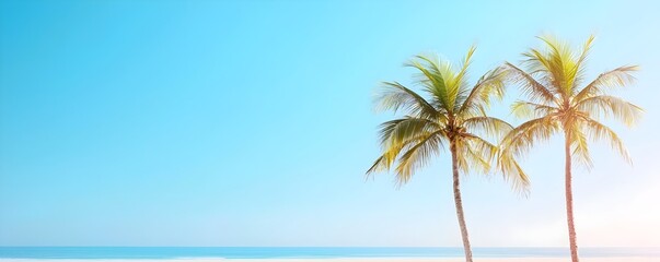 Tranquil Coastal Escape - Palm Trees Swaying in Gentle Breeze with Salty Air Capturing the Serenity and Vibrant Vibes of a Perfect Seaside Day