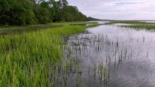 aerial of spartina grass along south carolina coastline near beaufort sc, south carolina not far from fripp island sc