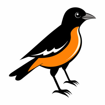 recommend clip art: An Oriole Vector illustration on a white background