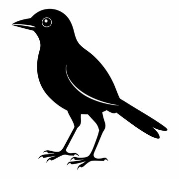 recommend clip art: An Oriole Vector illustration on a white background