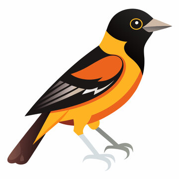 recommend clip art: An Oriole Vector illustration on a white background