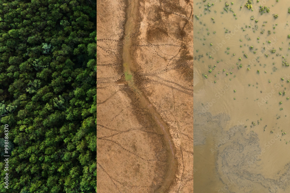 Wall mural climate change impacts the environment, causing droughts and floods.